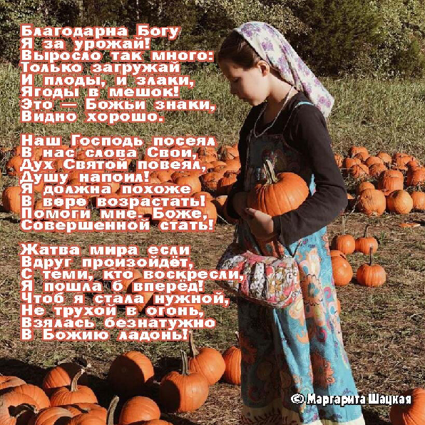 Стихи Щацкая